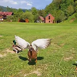 Przy Mlynie Kolo Wodne * Kroscienko nad Dunajcem