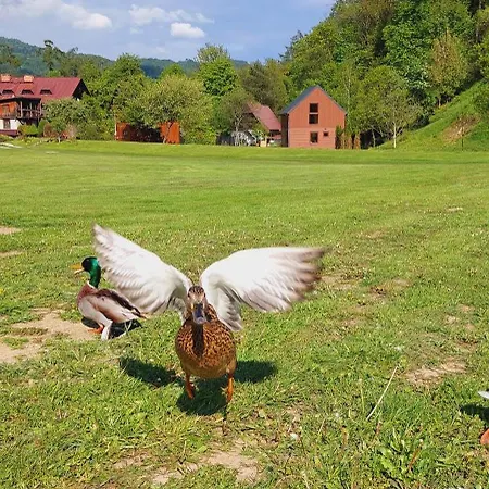 Przy Mlynie Kolo Wodne * كروتشيينكو